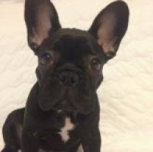 MATILDAEVE FLORIDIA's avatar