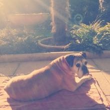 Frida's avatar