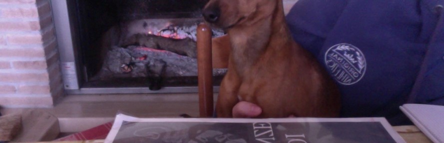Pepito Lupo's couverture