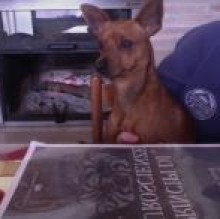 Pepito Lupo's avatar