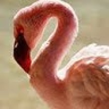 Immagine del profilo di stella marys lopez sanchez