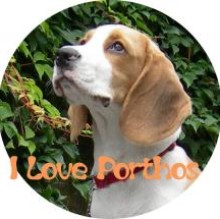Immagine del profilo di Porthos
