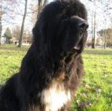 lunanera's avatar