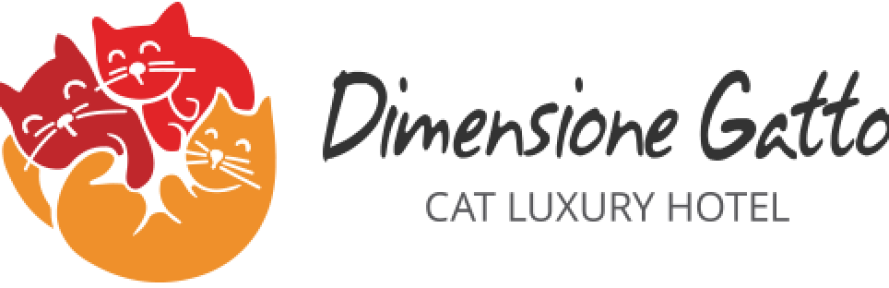 Cover di Annalisa Mantovanelli