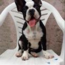 Avatar de Tonia
