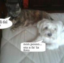 Immagine del profilo di zoetta