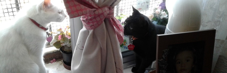 Marianella Beira Tizzi's cover