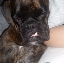 Federico Moruzzi's avatar