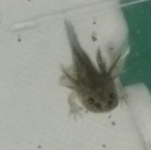 Immagine del profilo di Melanie Marx