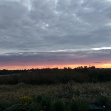 Avatar de Susanne Stendardo