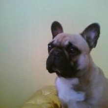 Avatar de AntoeSonny