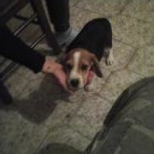 Avatar de canbigol