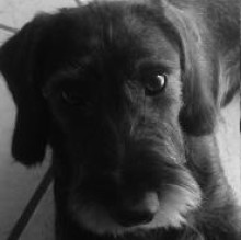DreamdaxNousPluto Costevi's avatar