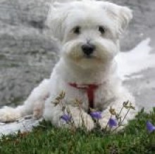 Toby Spaggiari's avatar