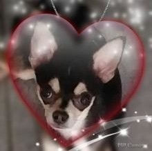 Casper Autino's Avatar