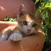 Avatar de Giovanna Barbisan