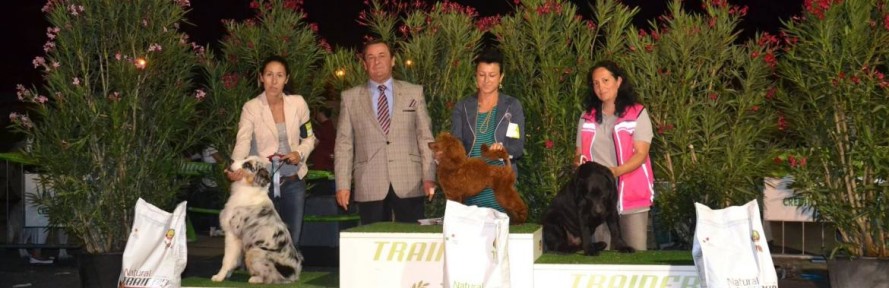 AnimalLearn's couverture