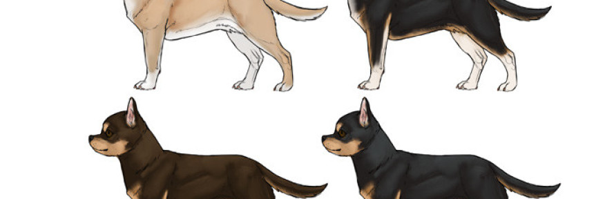 Cover di Alexia Emiko