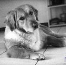 Avatar de Mya Myabau