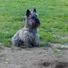 Opy B's avatar