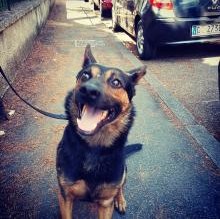 Balto Botta's Avatar