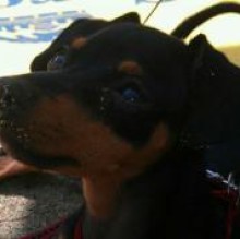 Dopey's avatar