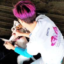 Immagine del profilo di Fulvia De Micco