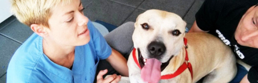 Cover di Fulvia De Micco