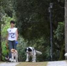 CamillaMattiaMaggieGil Ferro's avatar