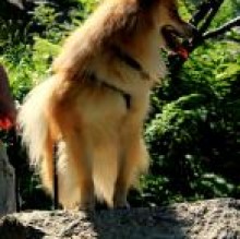 budinoo's Avatar