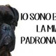 Avatar de RansieeBaghera Savelli