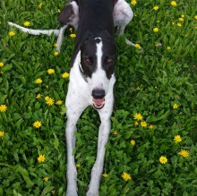 Carmen Massi's avatar