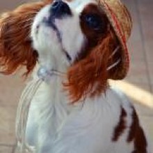 Immagine del profilo di Daisy Sempreboni