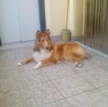 Avatar de maricoca