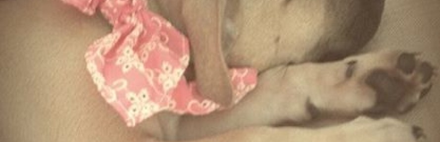 Polina's cover