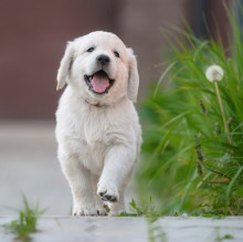 Marianna Tamburini's avatar