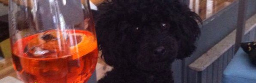 Mia 2012's cover