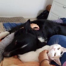 Avatar de Rosita Rotondo