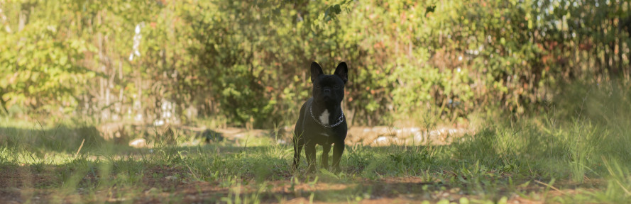 Carlotta Ranieri's cover