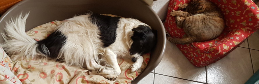 Cristina Rossato's cover