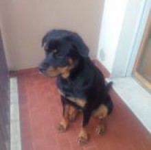 Avatar de Berry Tutino