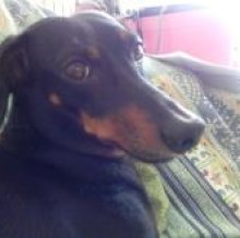 DafTap's avatar