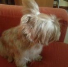 phoebe Eulisse's avatar