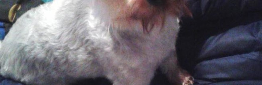 Cover di Gionny Starita