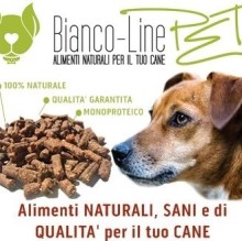 Fausto Bianco's avatar