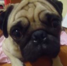 Avatar de TOBY110