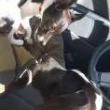 Avatar de danteejeky spataro