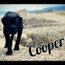 Avatar de Cooper