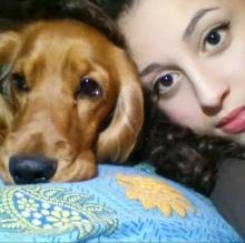 Sheyla Nicotra's avatar