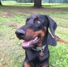 Zeus Ghilotti's avatar